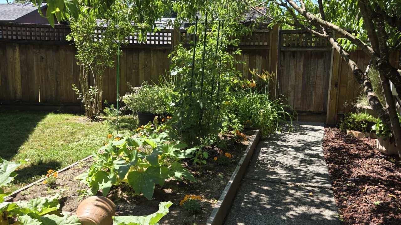 Photo of Outdoor in Maple Ridge