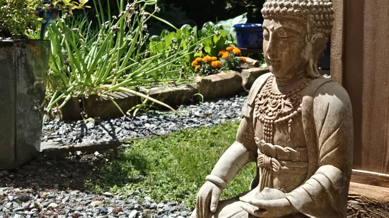 Photo of Outdoor in Maple Ridge