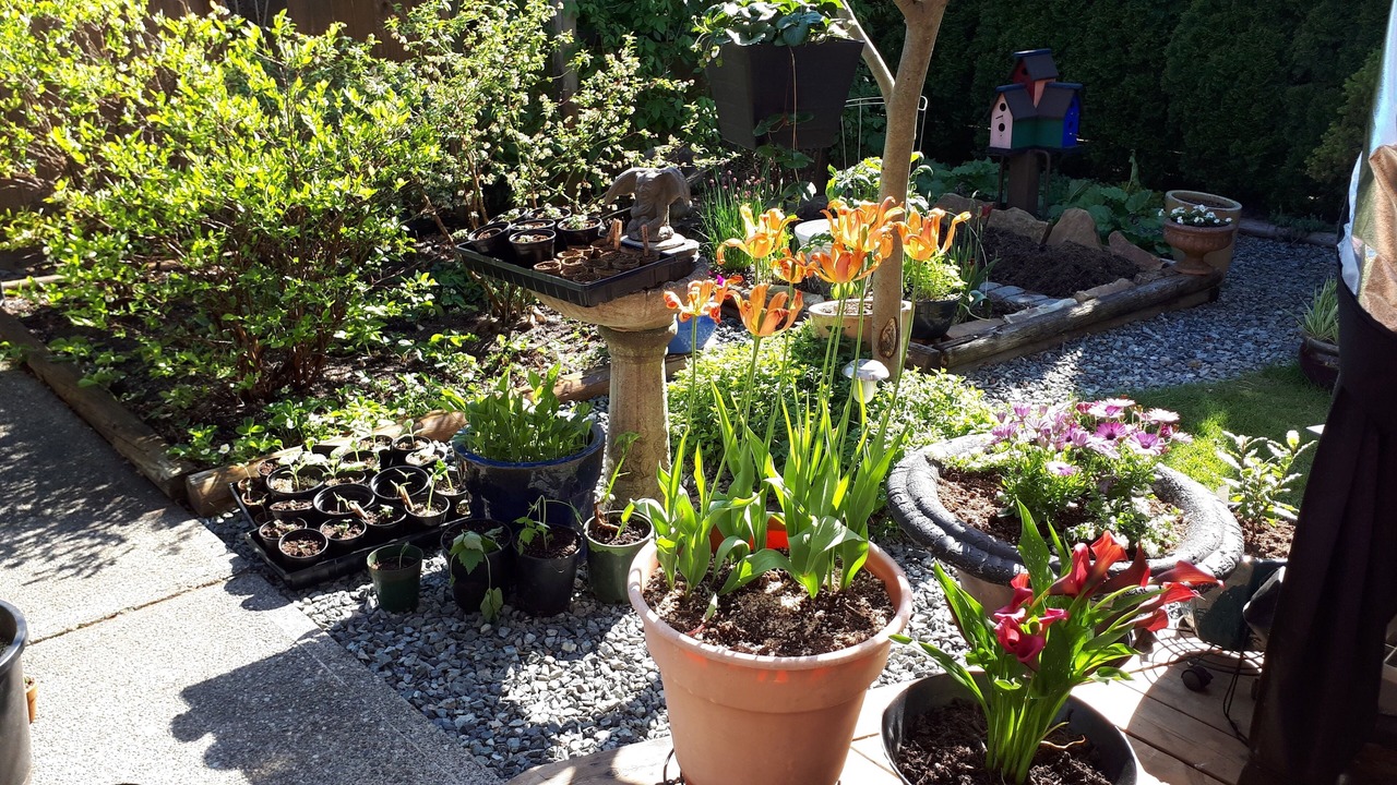 Photo of Outdoor in Maple Ridge