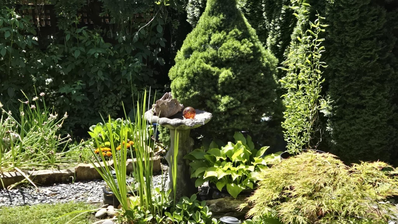Photo of Outdoor in Maple Ridge