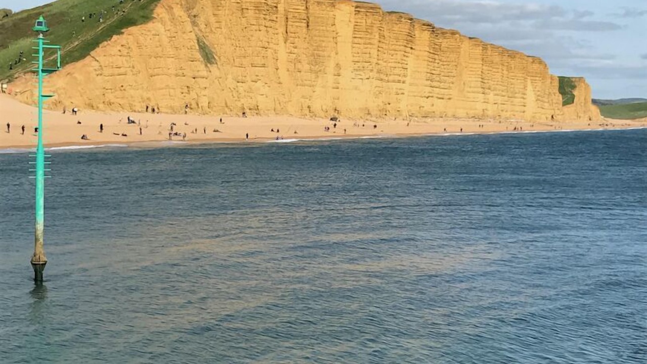 Photo of Others in West Bay