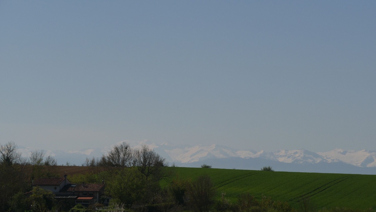 Photo of Others in Esperce