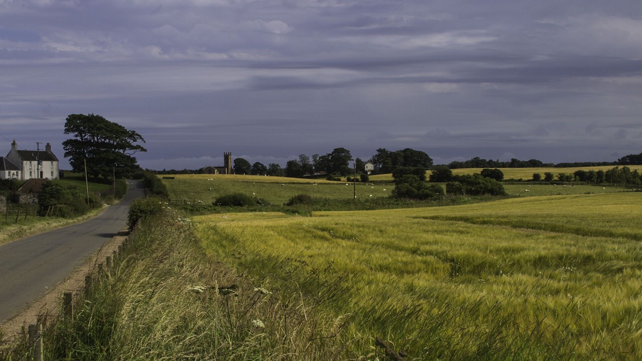 Photo of Others in Cowdenbeath