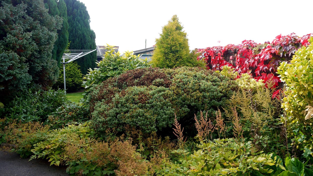 Photo of Outdoor in Cowdenbeath