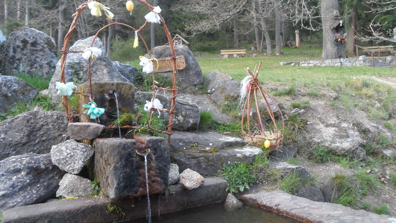 Photo of Outdoor in Thannenkirch