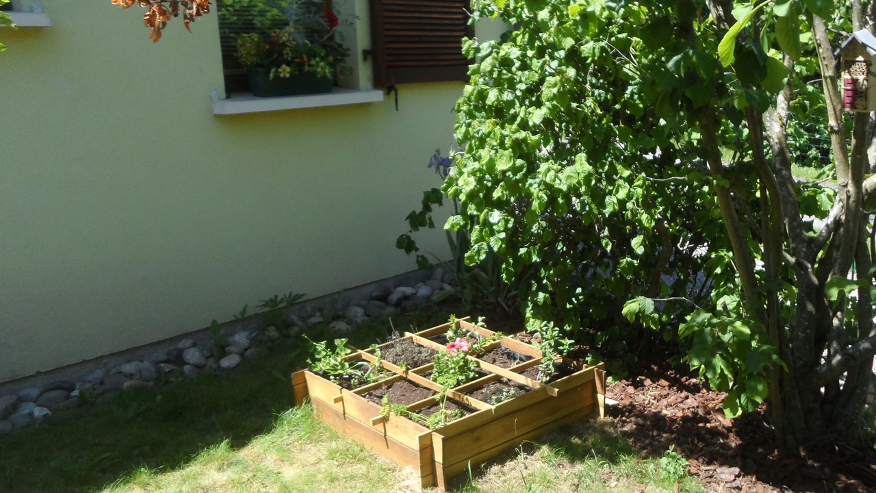 Photo of Outdoor in Thannenkirch