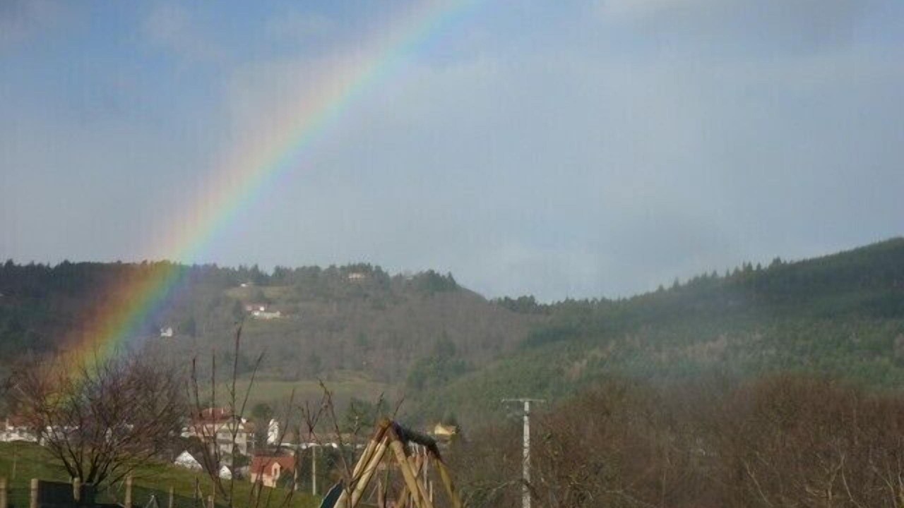 Photo of Others in Thannenkirch