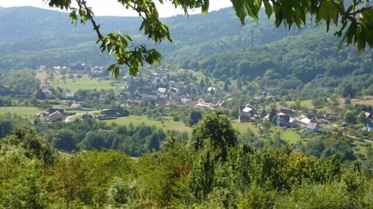 Photo of Outdoor in Thannenkirch