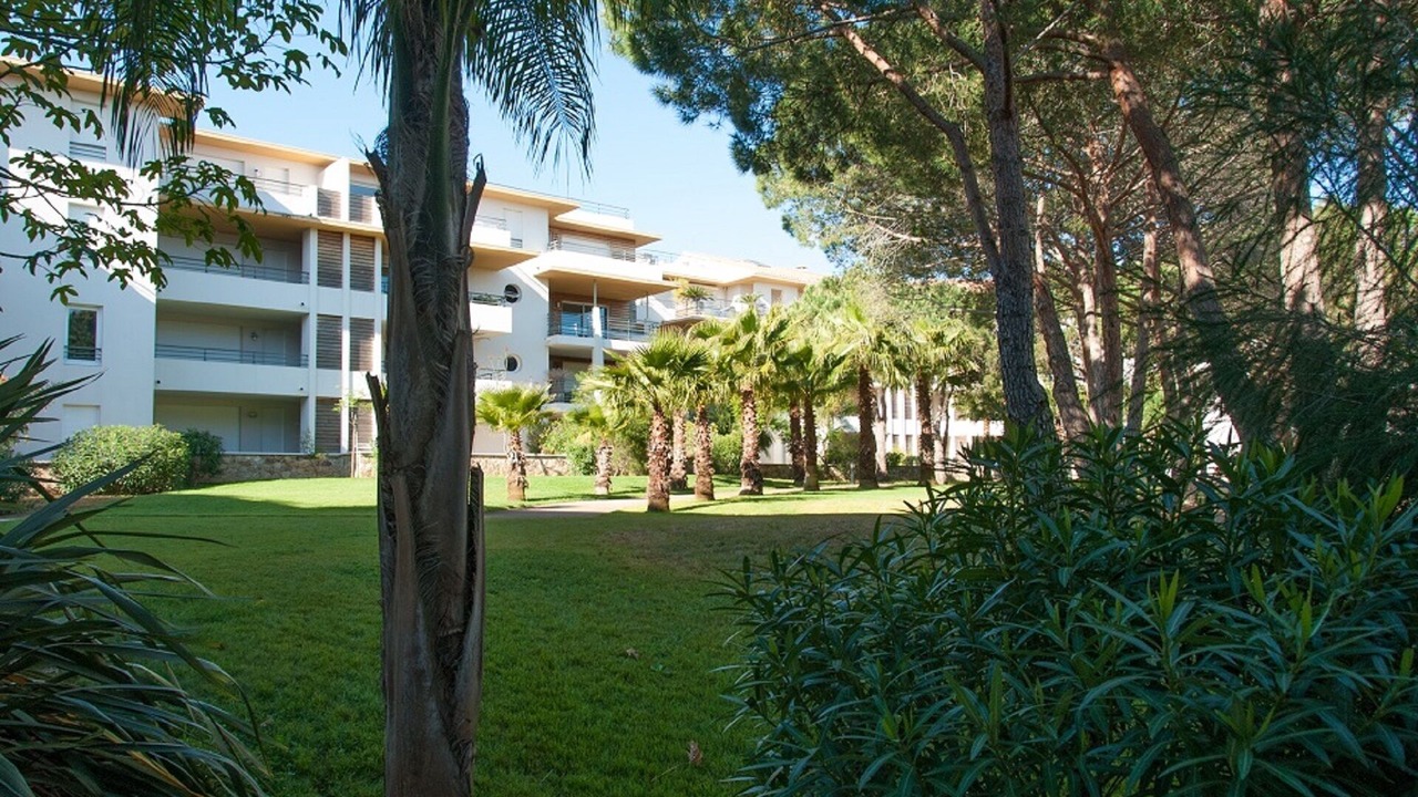 Photo of Outdoor in Calvi