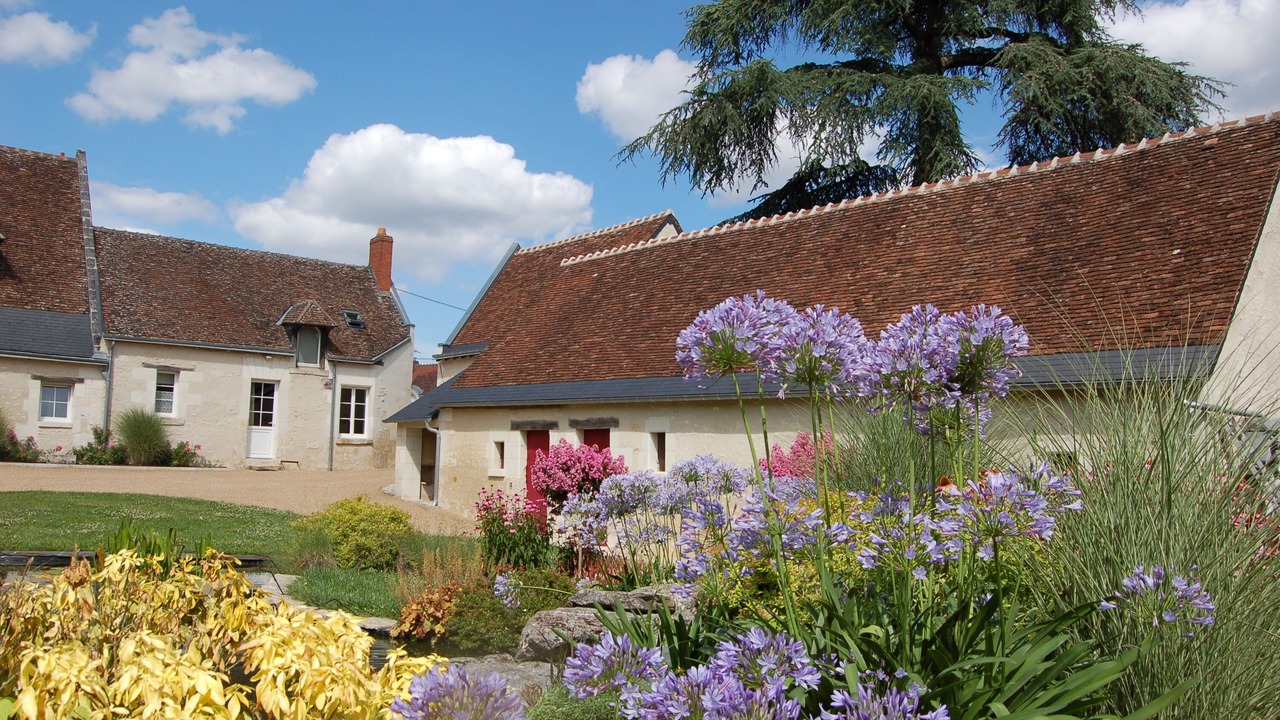 Photo of Outdoor in La Croix-en-Touraine