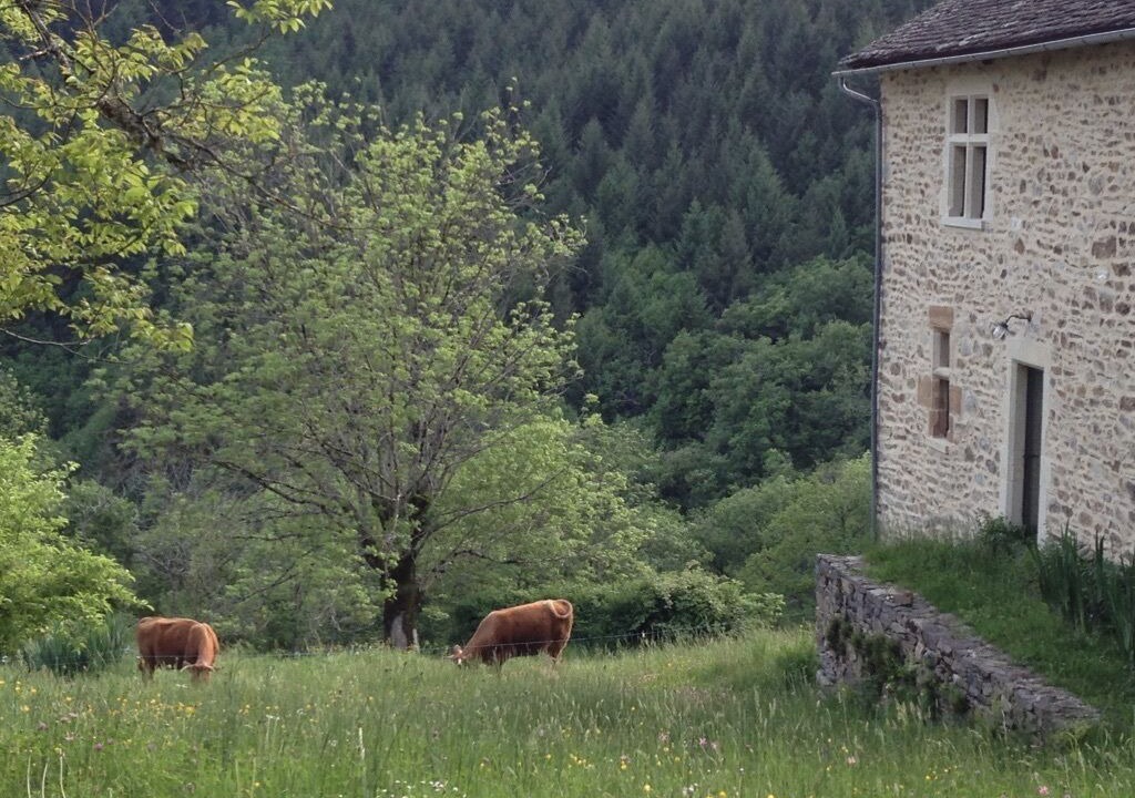 Photo of Outdoor in Saint-Geniez-d'Olt
