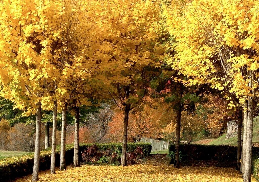 Photo of Outdoor in Saint-Geniez-d'Olt