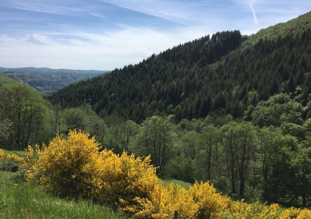 Photo of Outdoor in Saint-Geniez-d'Olt