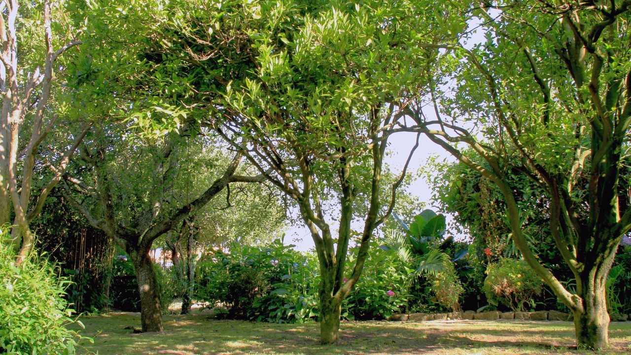 Photo of Outdoor in Cacia