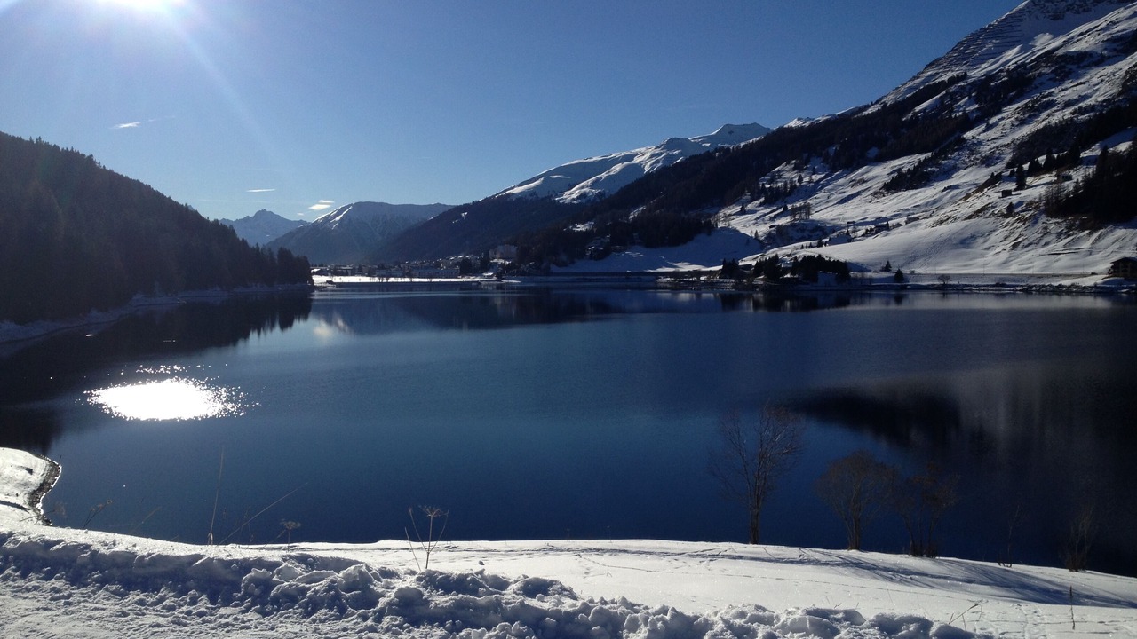 Photo of Others in Davos