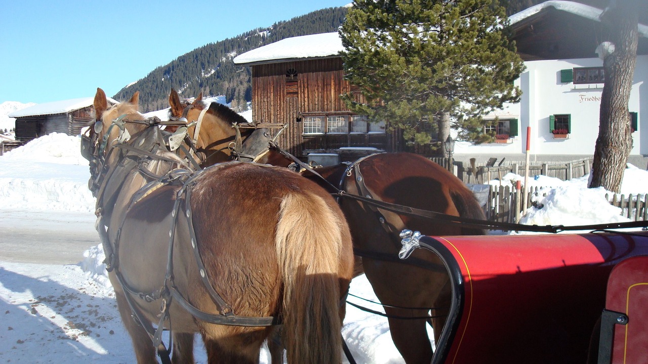 Photo of Outdoor in Davos
