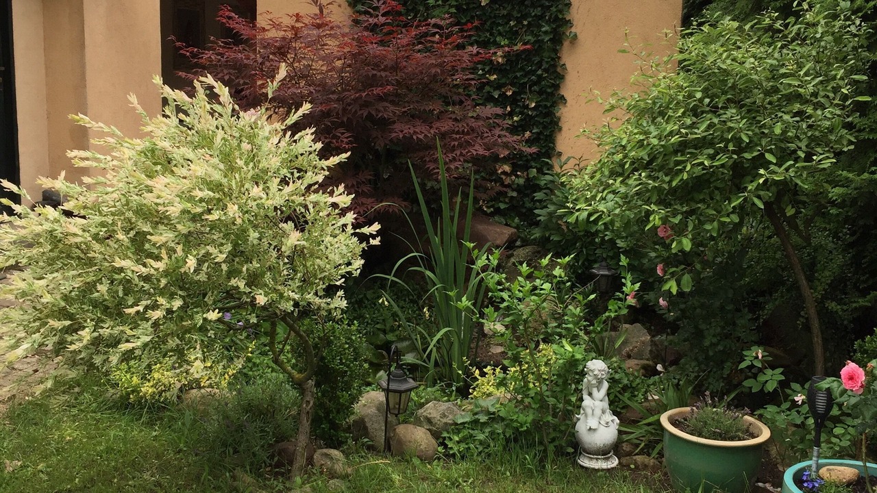 Photo of Outdoor in Sierakowice