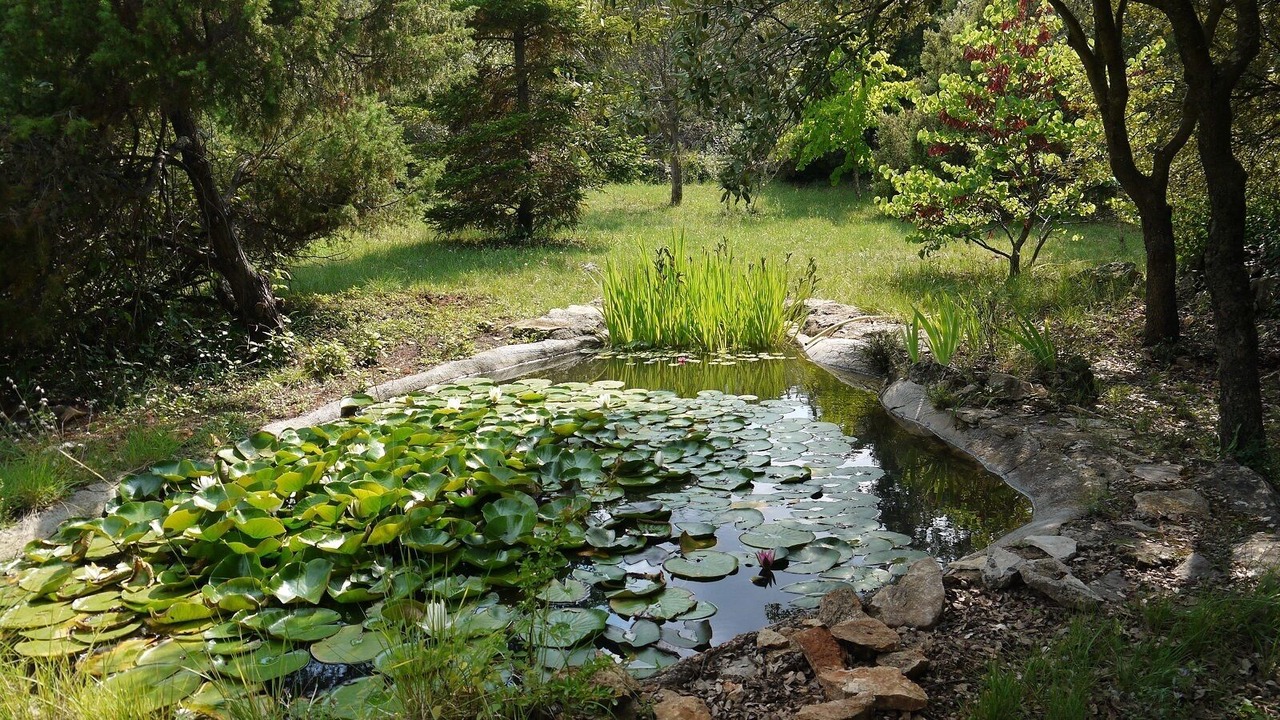 Photo of Outdoor in Cotignac