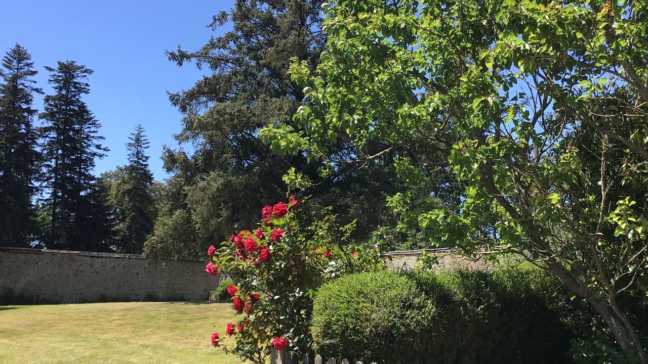 Photo of Outdoor in Saint-Martin-de-Cenilly