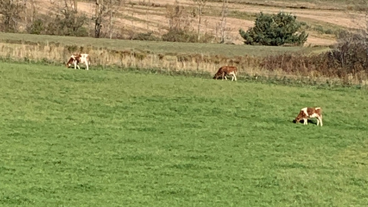 Photo of Others in Grand Pre