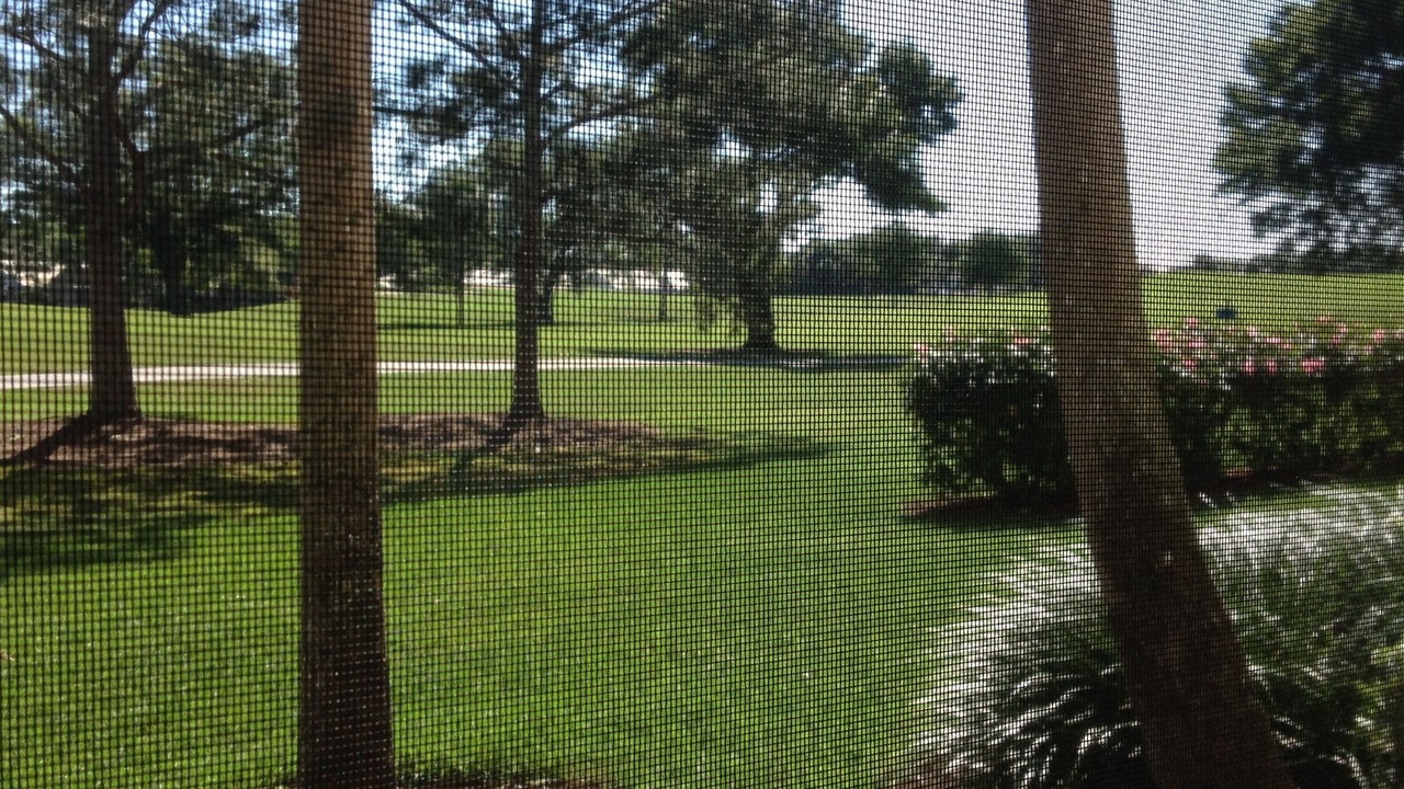 Photo of Outdoor in Plantation