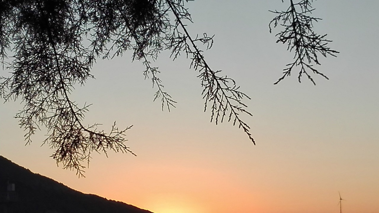 Photo of Others in Megalo Chorio
