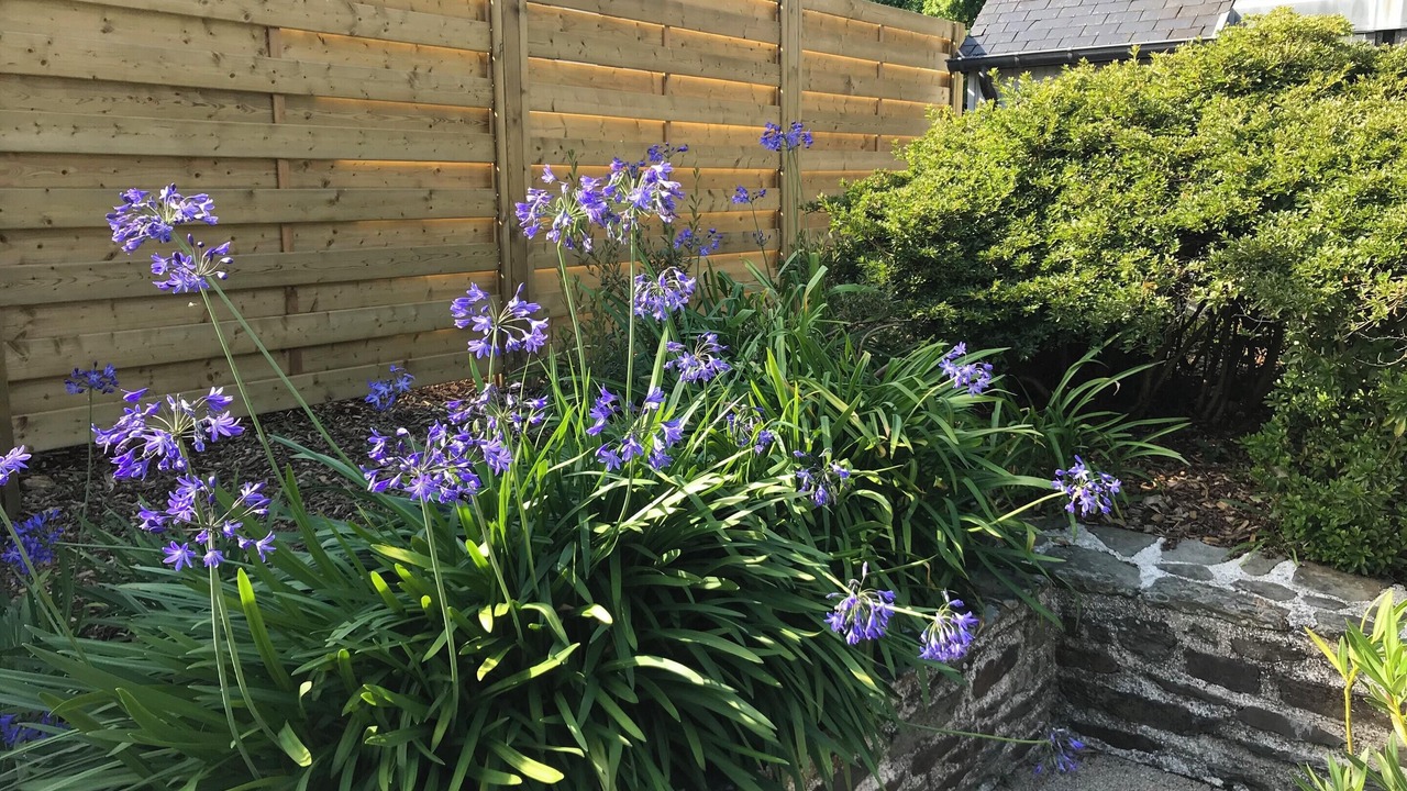 Photo of Outdoor in Saint-Hernin