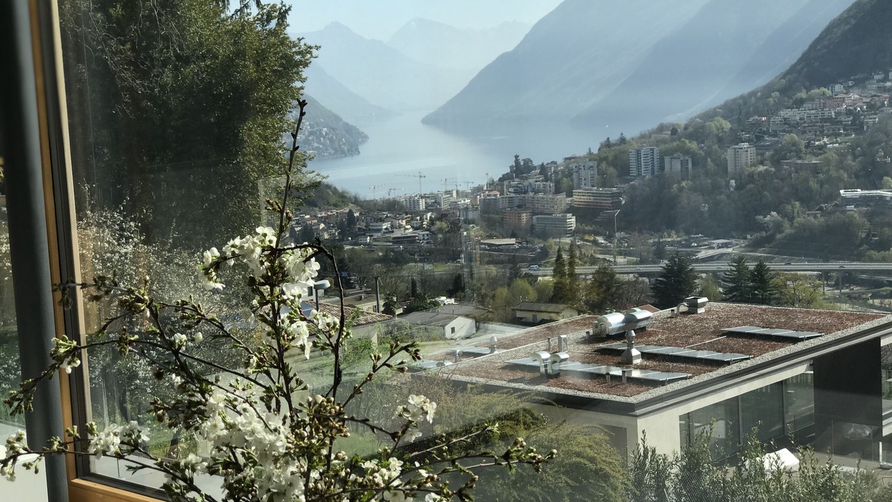 Photo of Others in Montagnola
