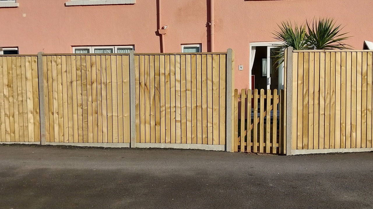 Photo of Others in Paignton
