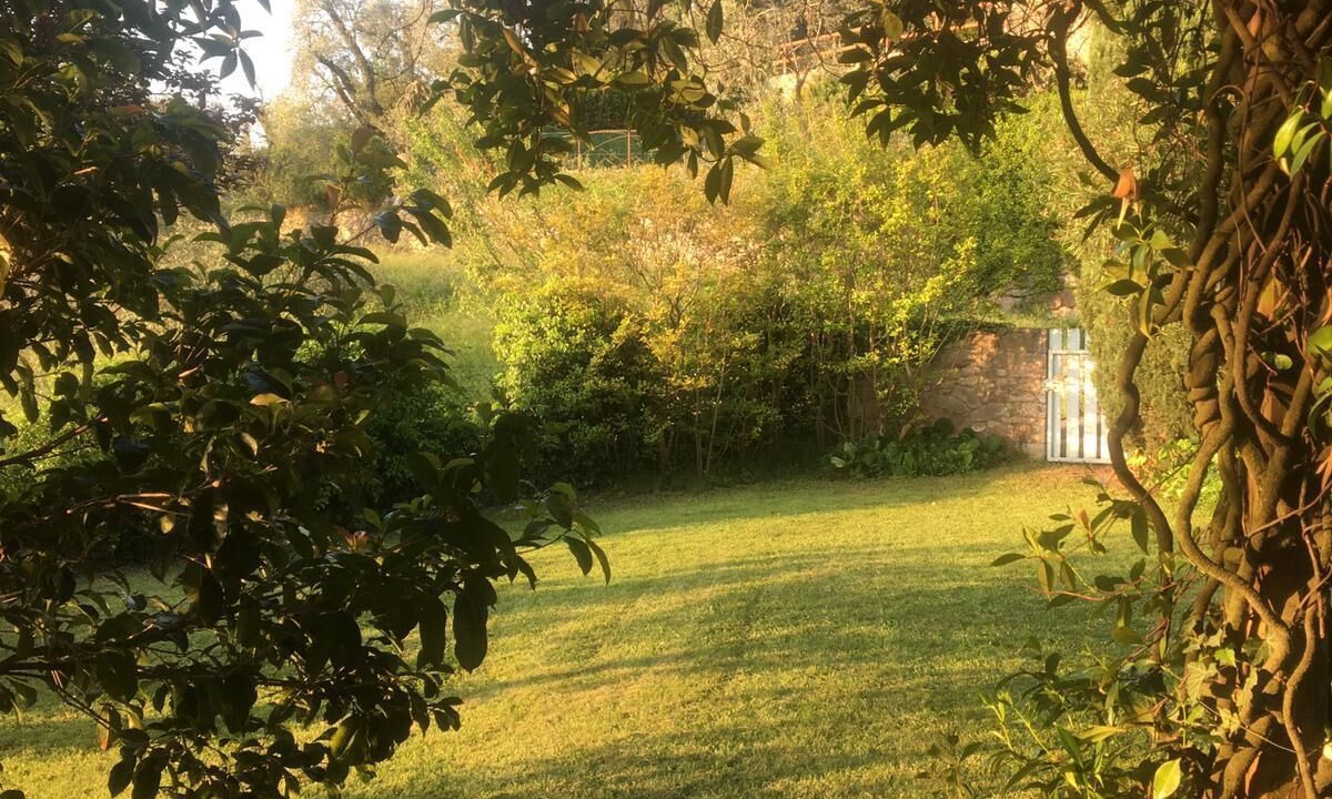 Photo of Outdoor in Torri del Benaco