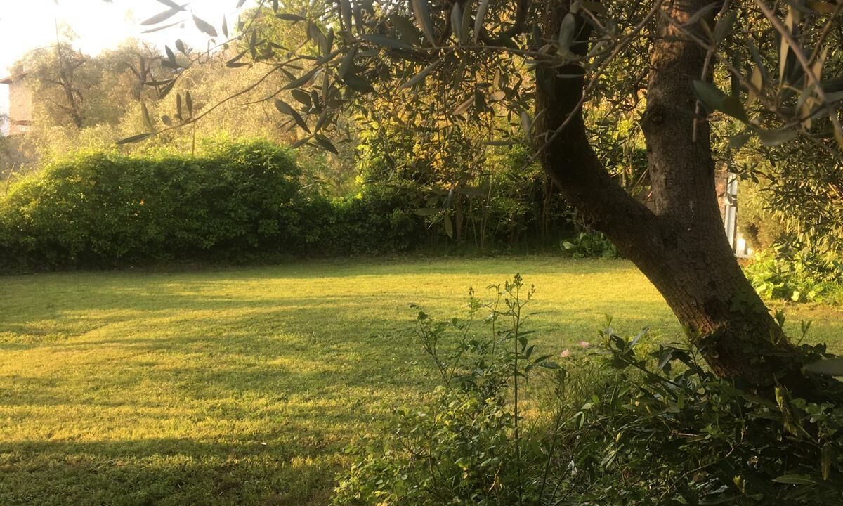 Photo of Outdoor in Torri del Benaco