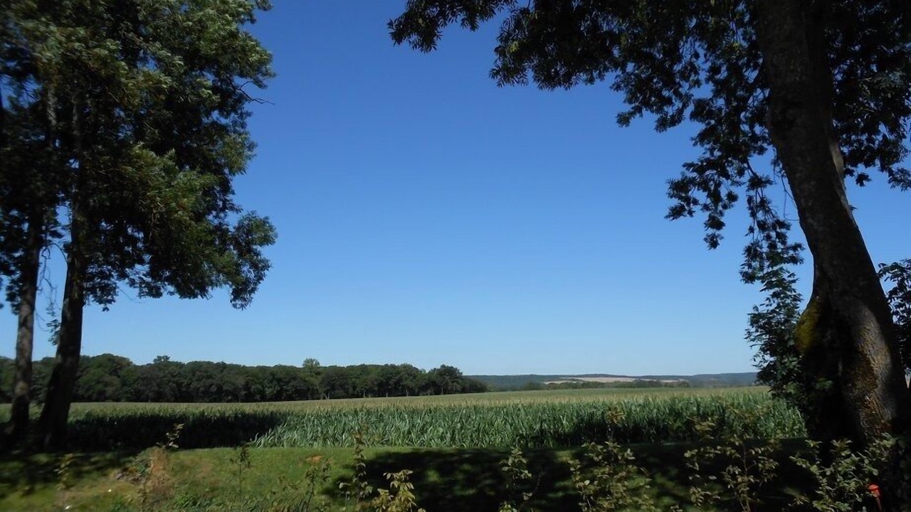 Photo of Others in Sennevoy-le-Bas