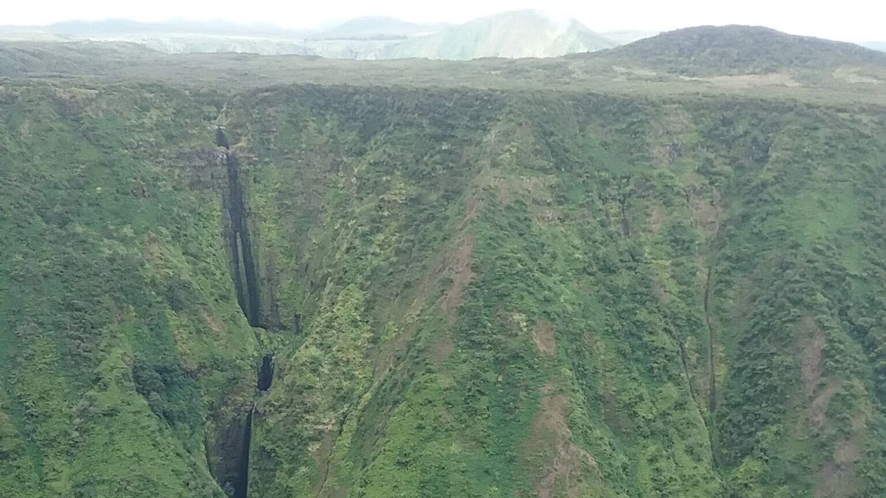 Photo of Others in Hakalau
