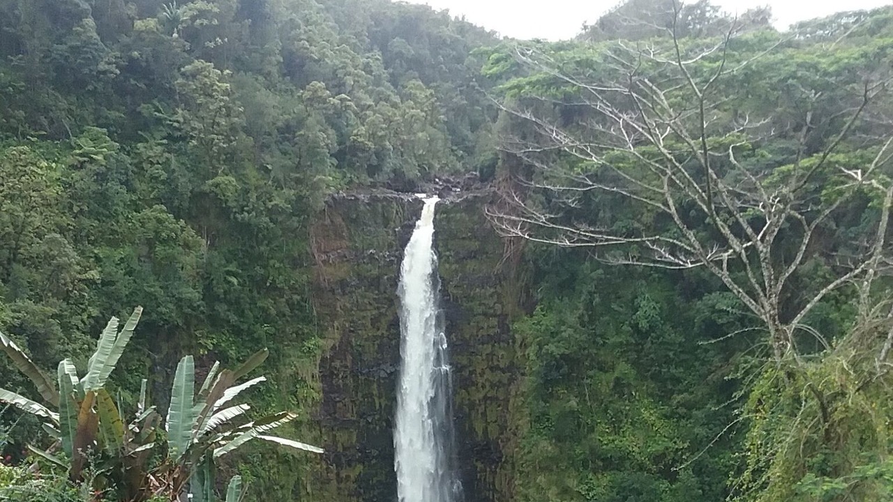 Photo of Others in Hakalau
