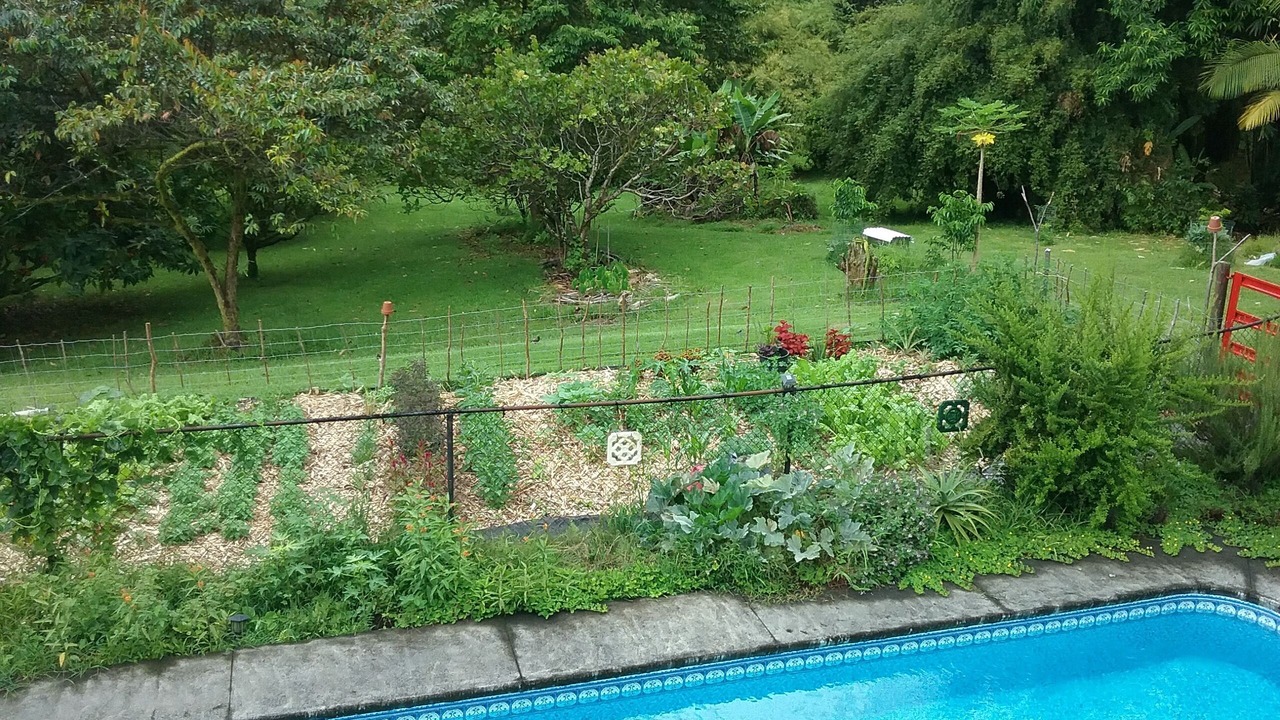 Photo of Outdoor in Hakalau