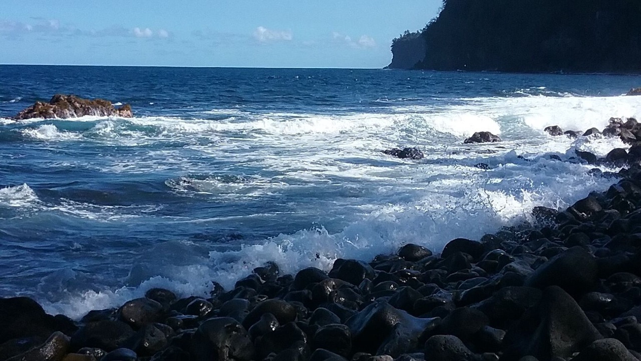 Photo of Others in Hakalau
