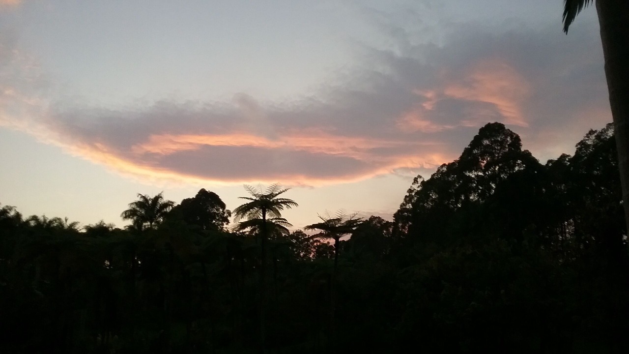 Photo of Others in Hakalau