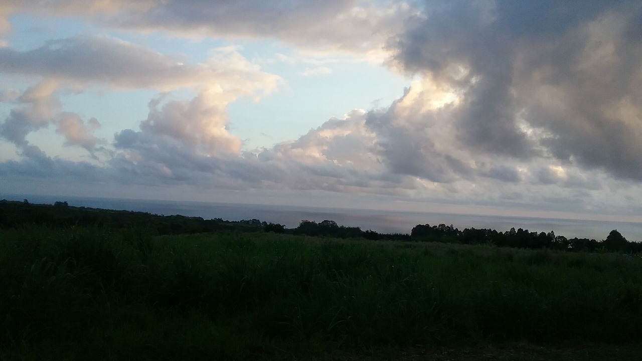 Photo of Others in Hakalau