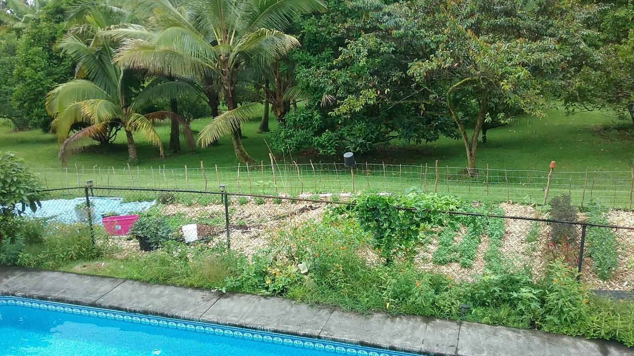 Photo of Outdoor in Hakalau