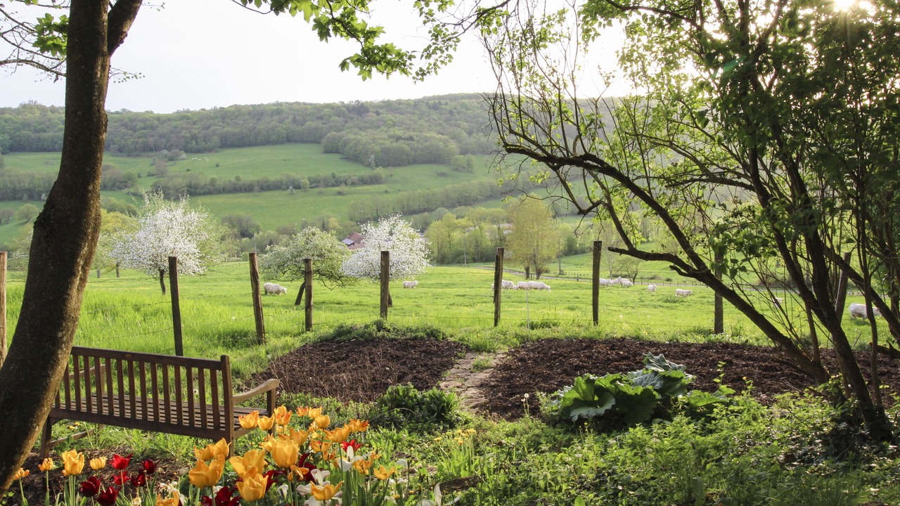 Photo of Outdoor in Hauteroche