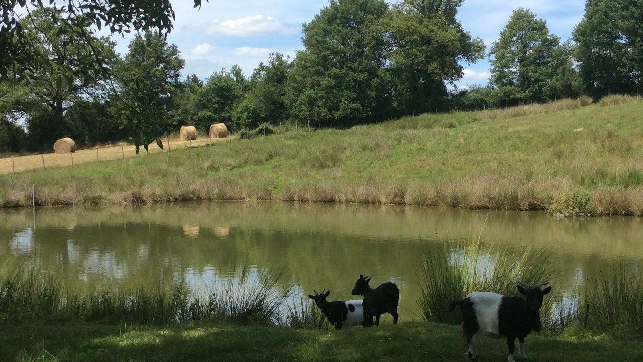 Photo of Outdoor in Le Poire-sur-Vie