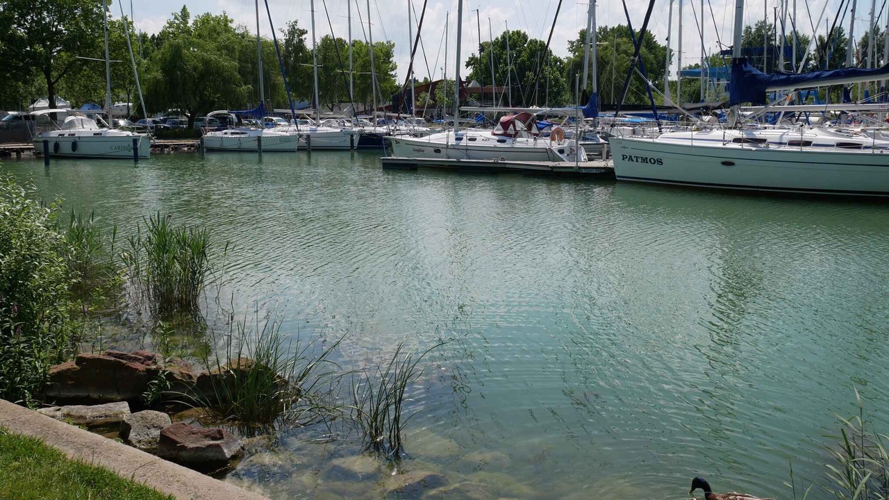 Photo of Others in Balatonlelle