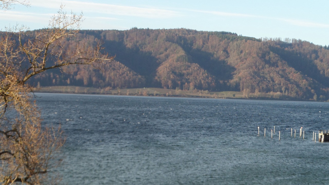 Photo of Others in Sipplingen