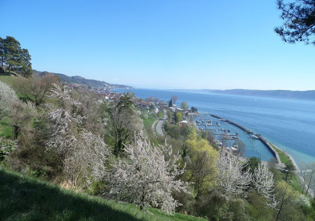 Photo of Others in Sipplingen