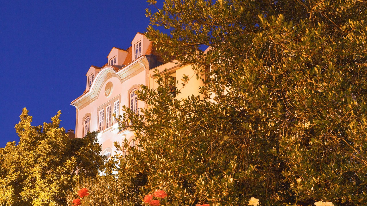 Photo of Outdoor in Viseu