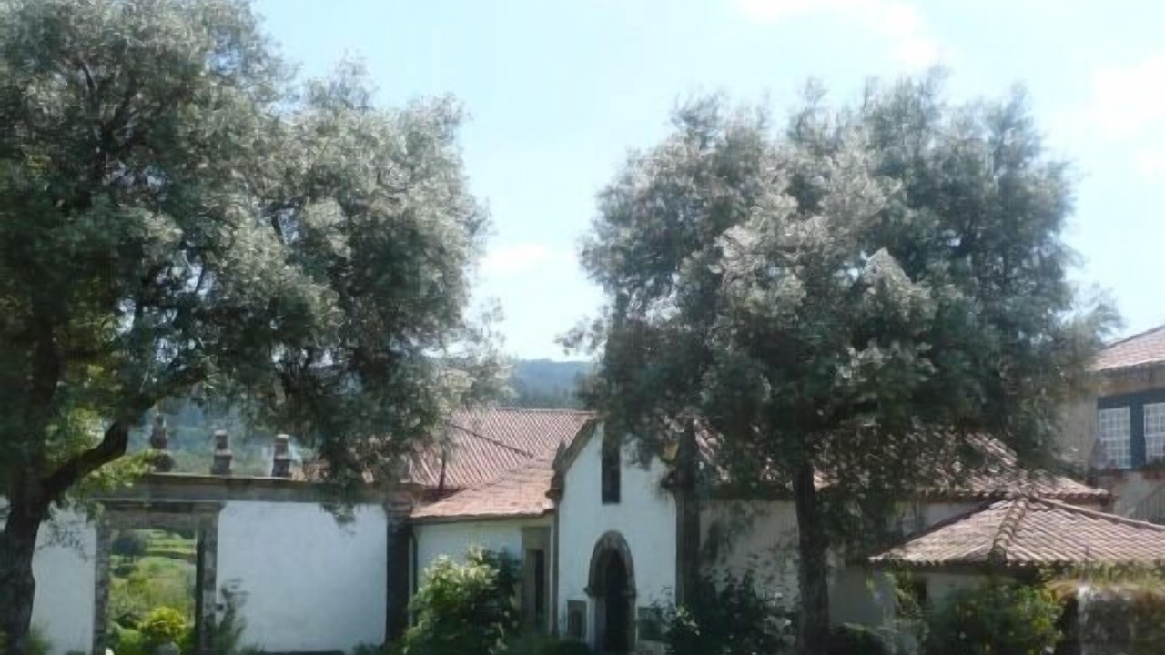 Photo of Outdoor in Ponte de Lima
