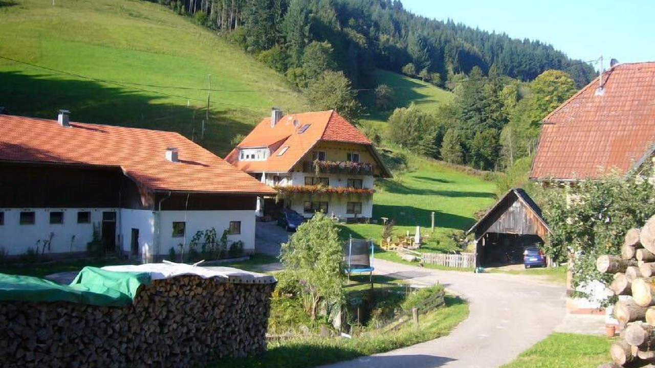Photo of Outdoor in Wolfach - Saint Roman