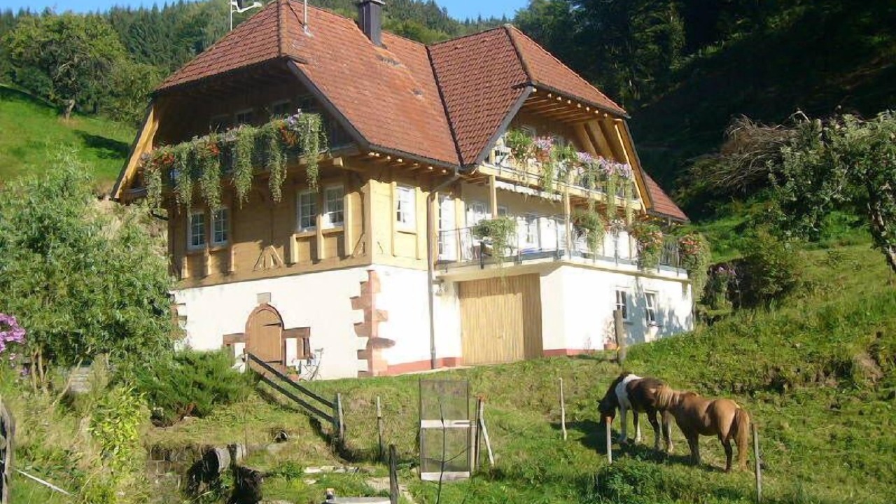 Photo of Outdoor in Wolfach - Saint Roman