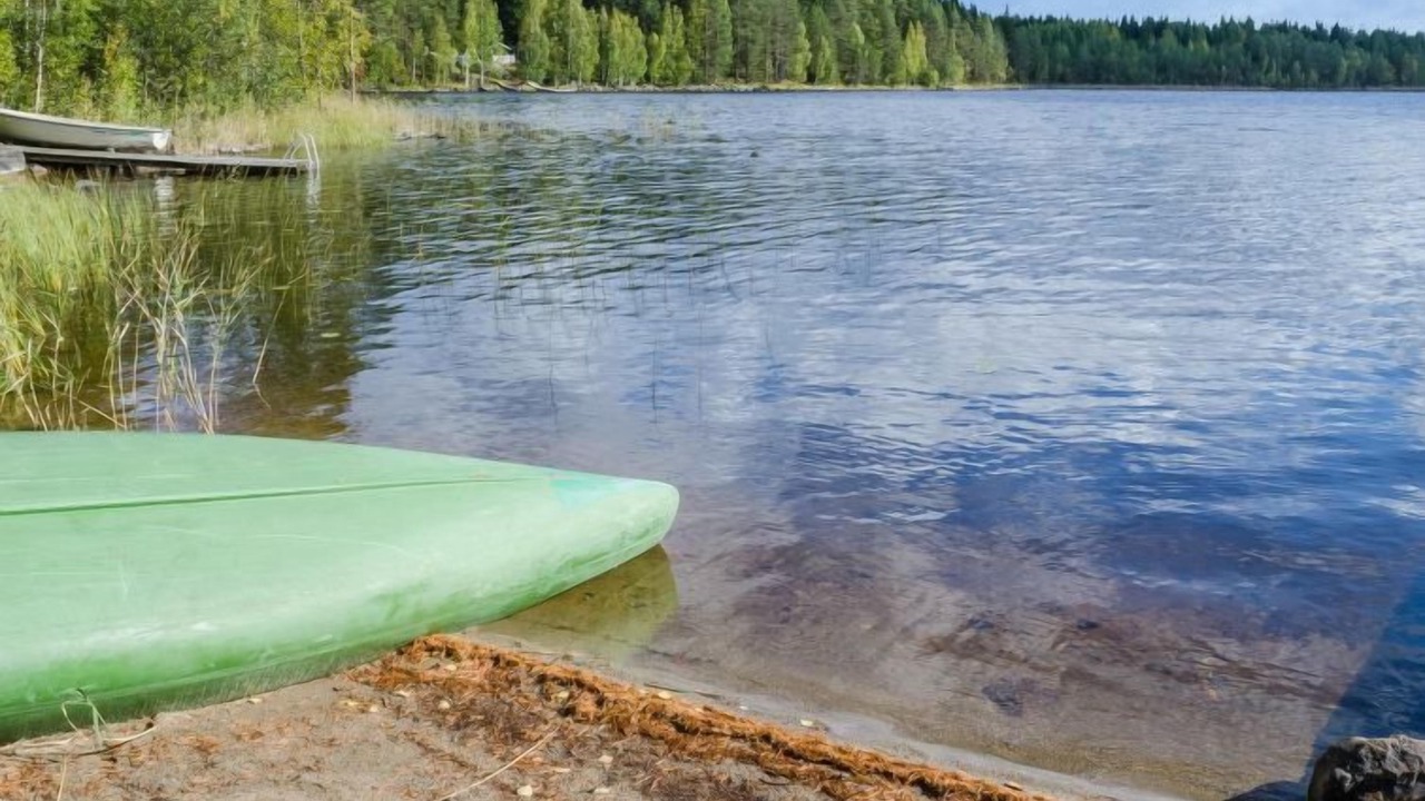 Photo of Others in Koli National Park