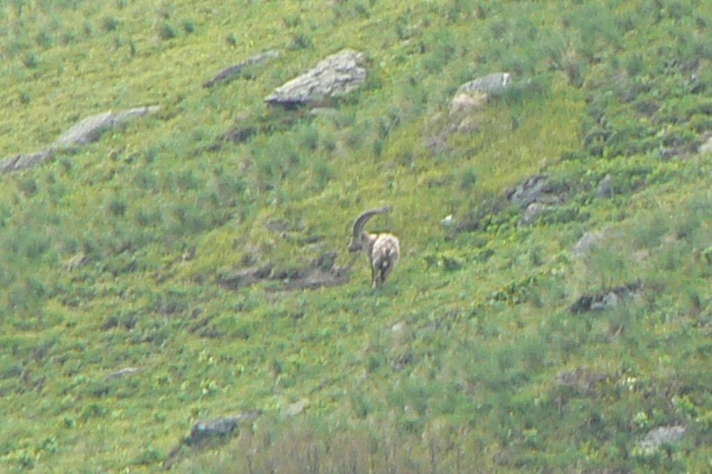 Photo of Others in Orelle